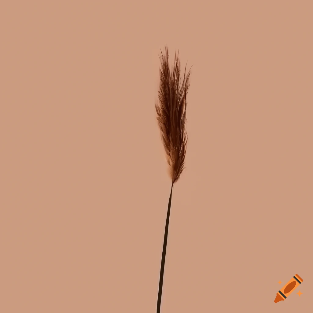 close-up of a wild reed on beige background