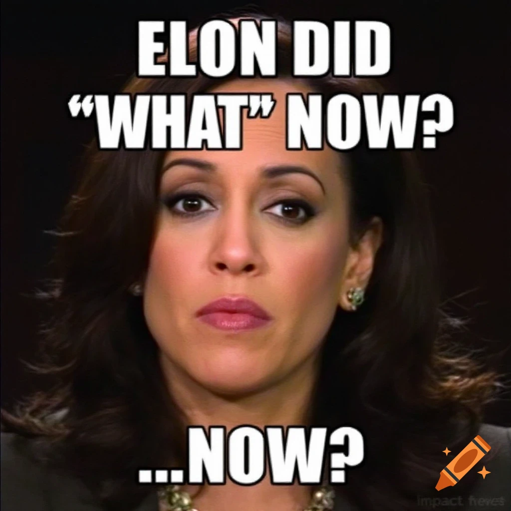 Woman with skeptical expression and meme text 'ELON DID "WHAT" NOW?' and '...NOW?'