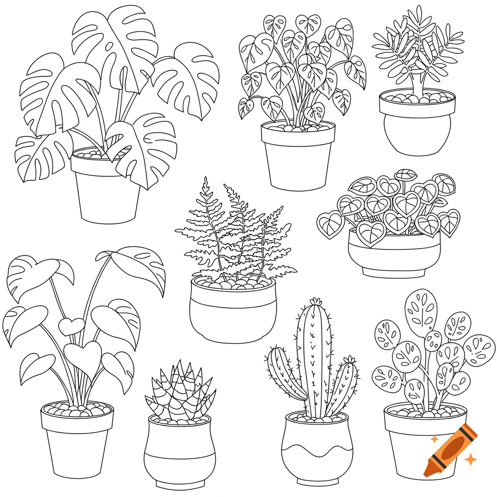 Line drawings of various potted house plants for a coloring page.