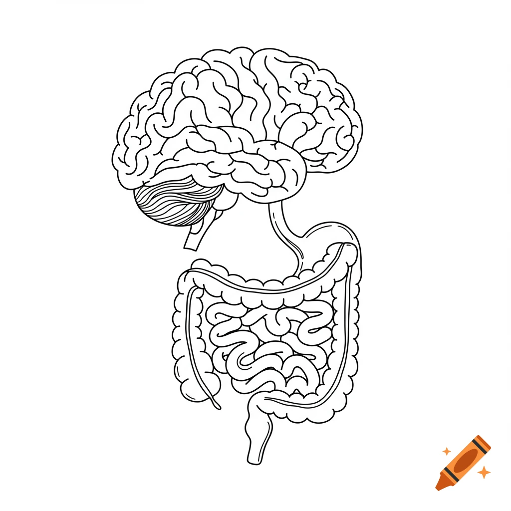 Black and white line drawing of a brain connected to intestines.