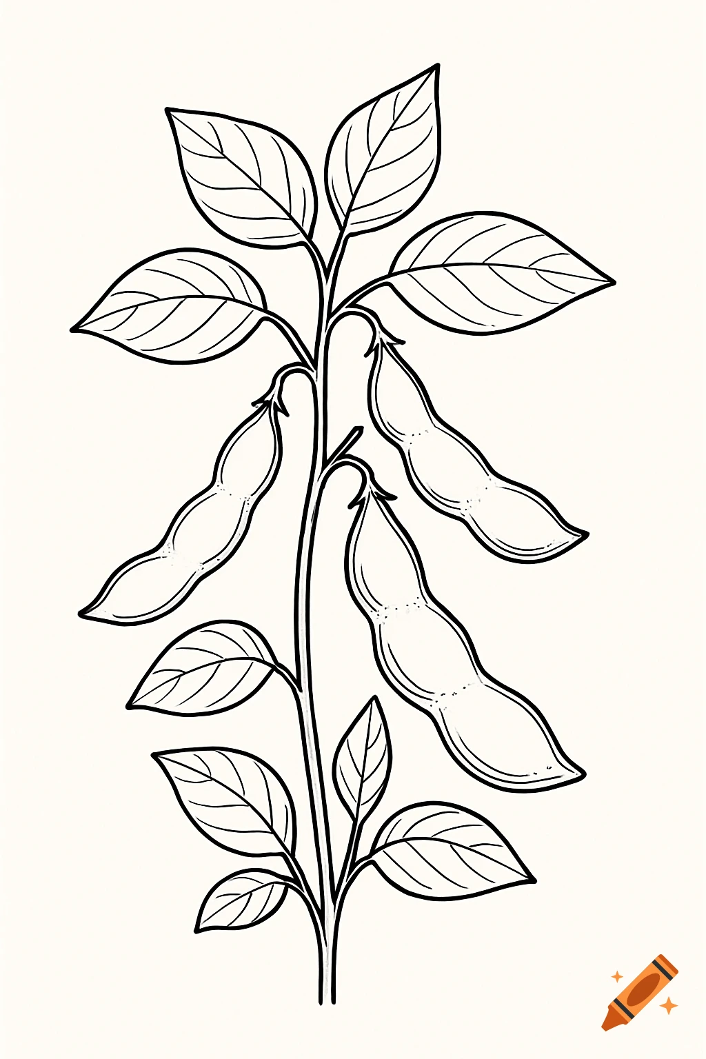 Black and white line illustration of a soybean plant with pods.