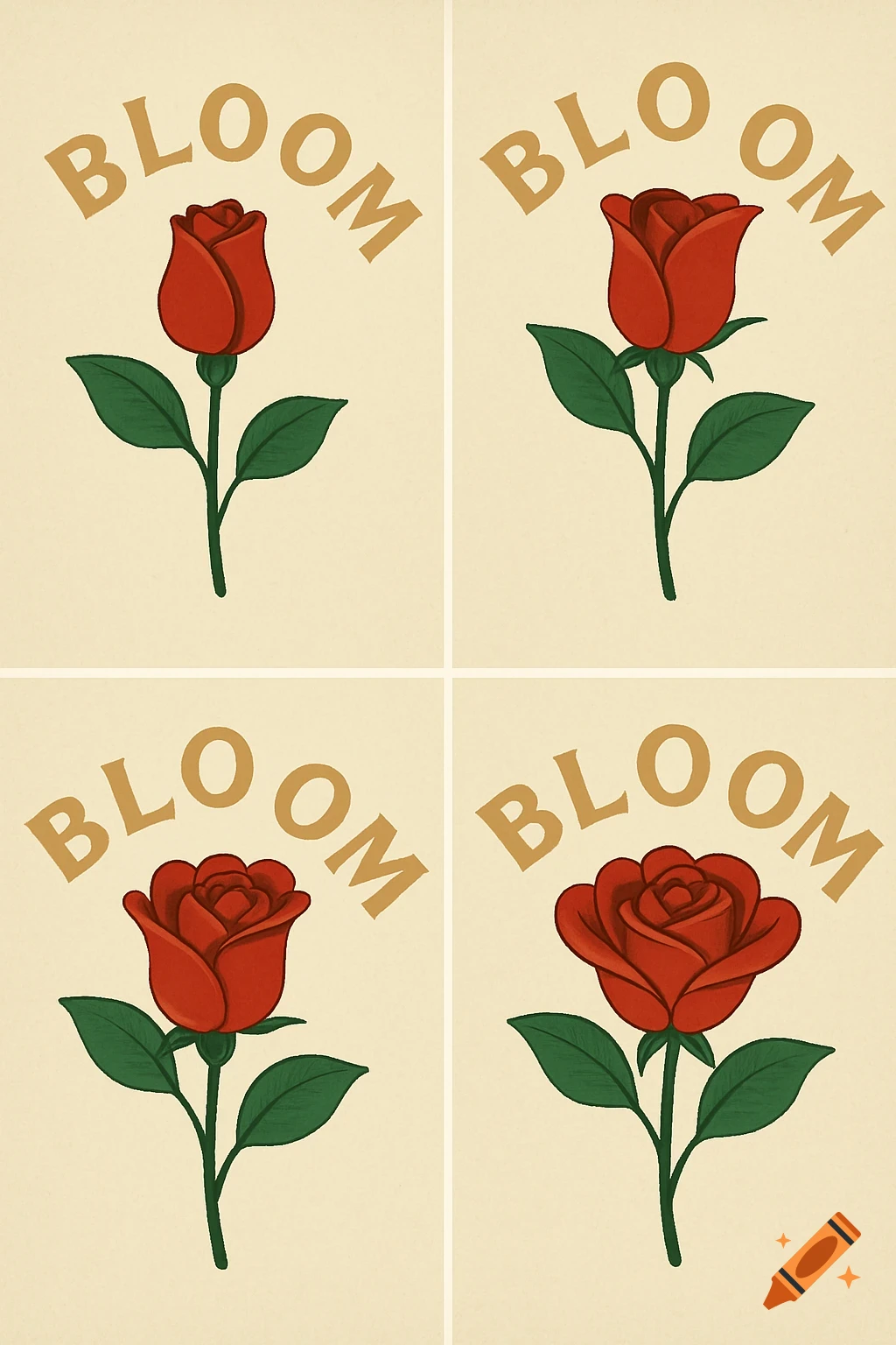 Four panel illustration, each showing a red rose with green leaves and the word BLOOM above it.