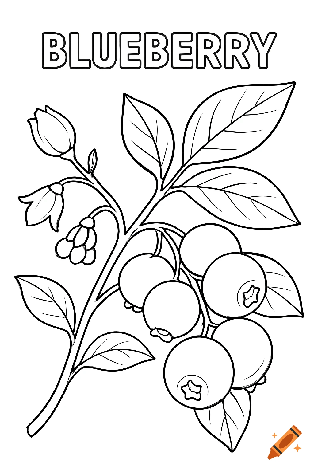 Black and white line drawing of a blueberry branch with berries, leaves, and the text BLUEBERRY.