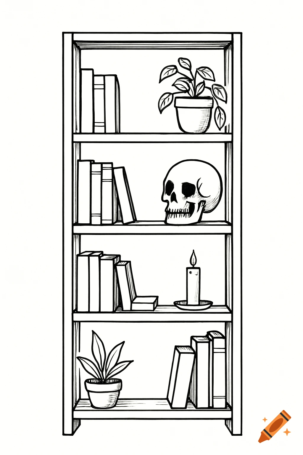 Black and white line art drawing of a bookshelf with books, skull, plants, and a candle.