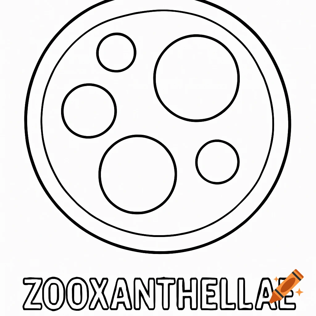 Outline drawing for coloring showing microscopic circles and the text ZOOXANTHELLAE.