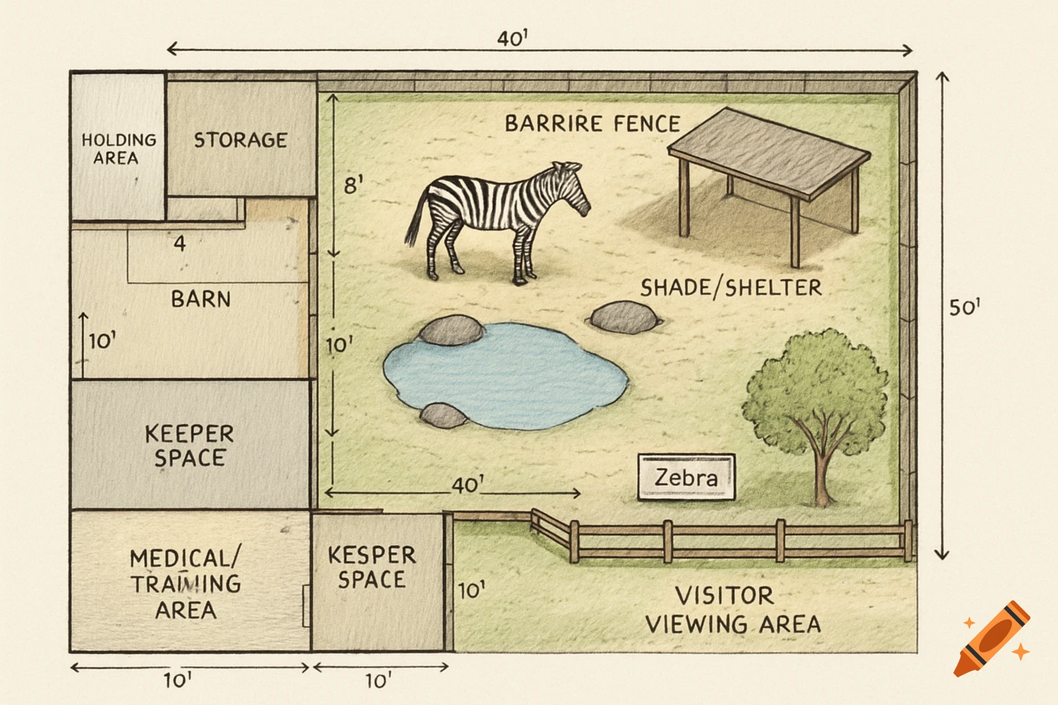 A hand-drawn diagram of a zoo exhibit for a zebra, showing labeled areas, pond, shelter, and fences.