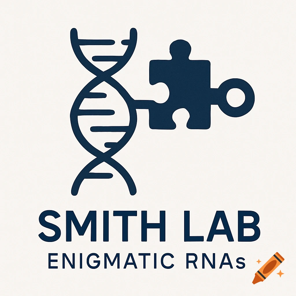 Logo of a DNA helix connected to a puzzle piece above the text SMITH LAB and ENIGMATIC RNAs on a light background.