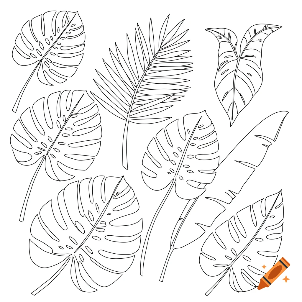 Outline drawing of various tropical leaves