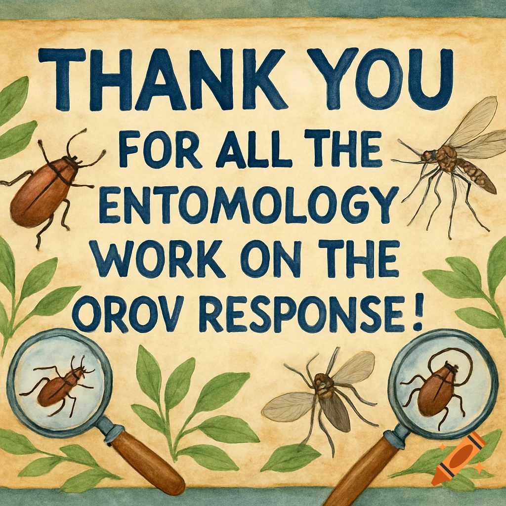Watercolor banner with insects, magnifying glasses, and text: THANK YOU FOR ALL THE ENTOMOLOGY WORK ON THE OROV RESPONSE!
