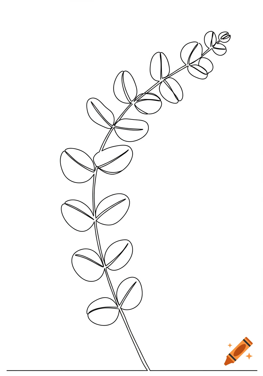 Minimalist single-line black illustration of a eucalyptus branch on a white background.