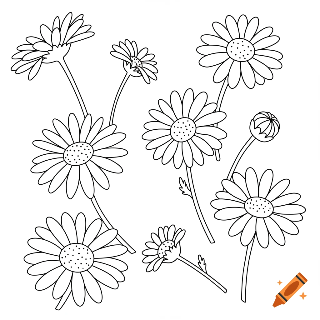 Outline drawing of several daisies and a bud for a simple kids coloring book page.
