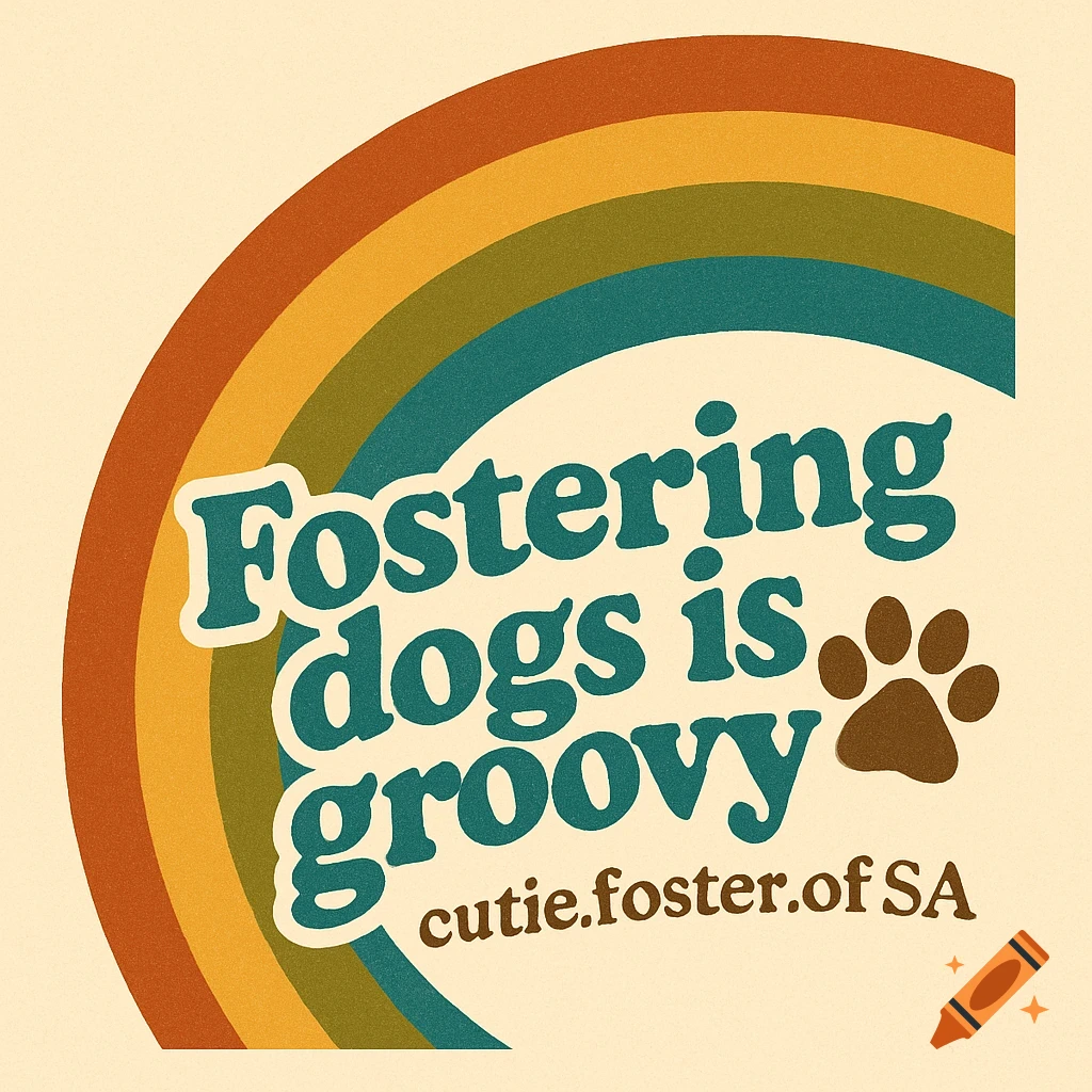 Retro-style graphic with a rainbow, the phrase 'Fostering dogs is groovy', a paw print, and a username.