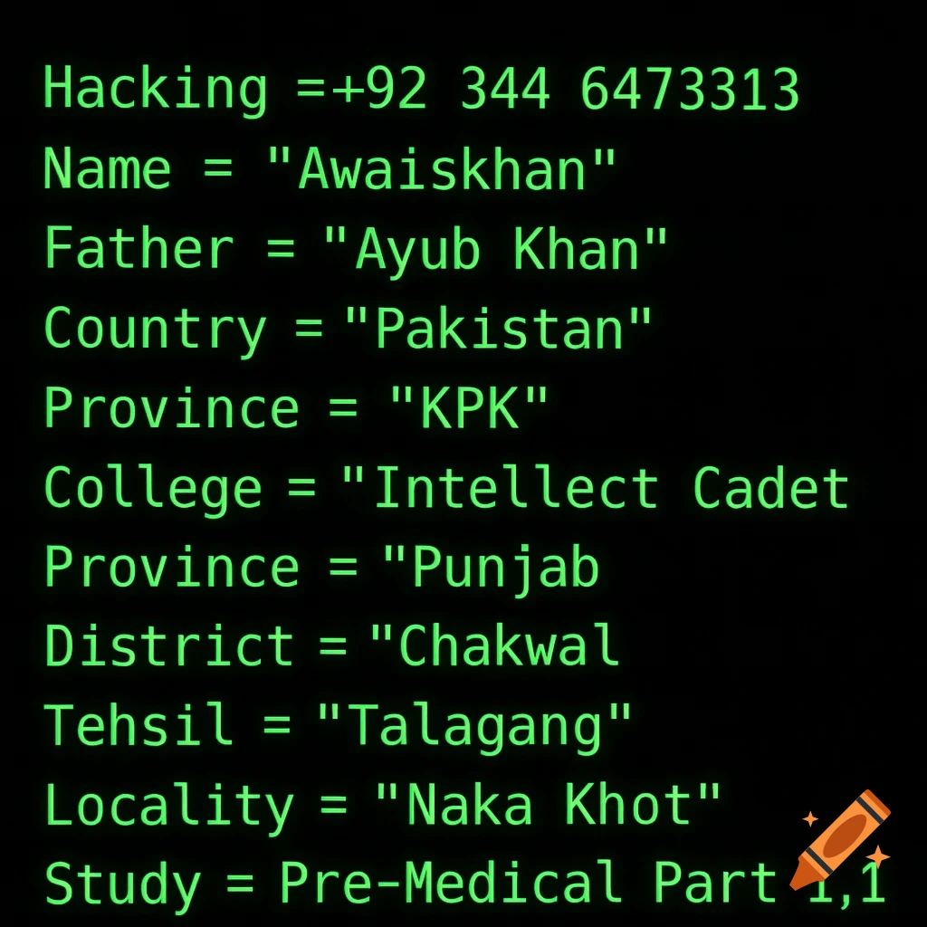 Green monospace text on a black background, formatted like code, displaying personal details and a phone number.