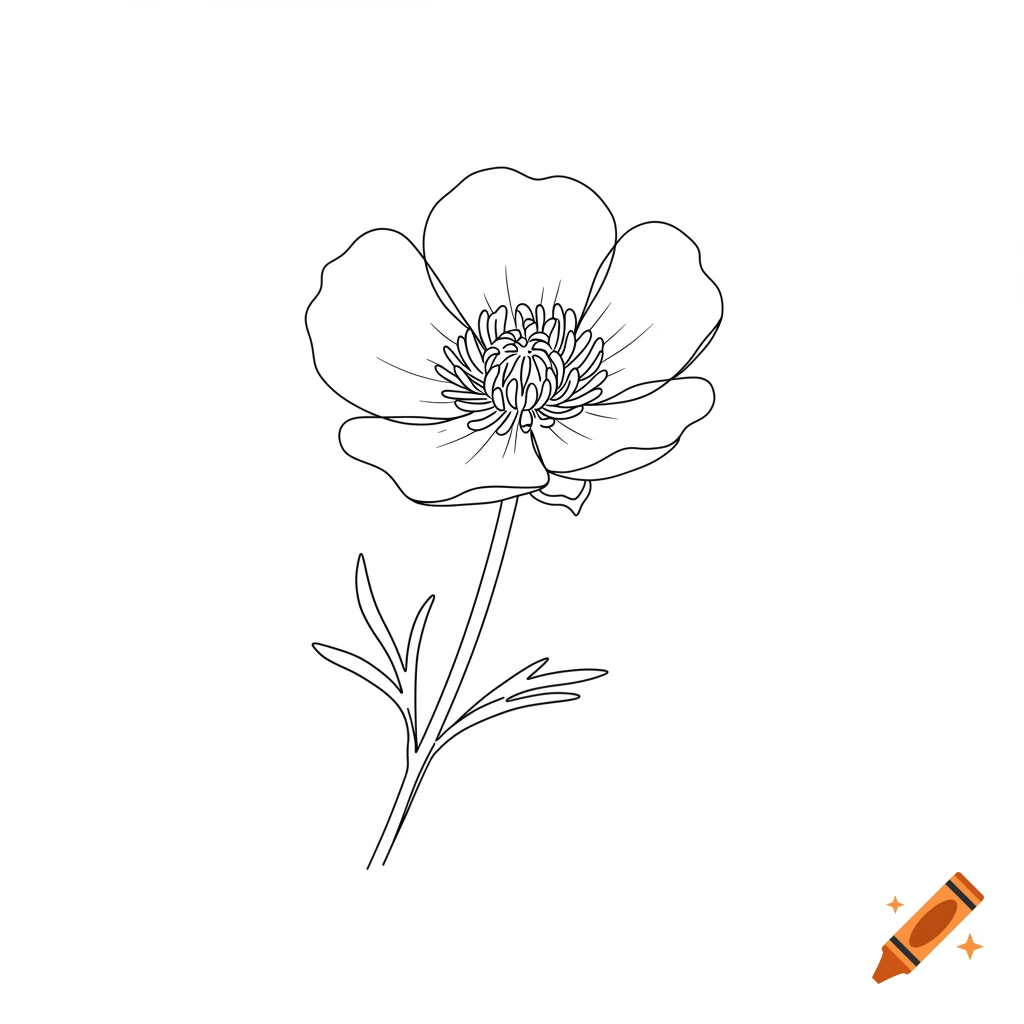 Black outline drawing of a buttercup flower with a stem and leaves.