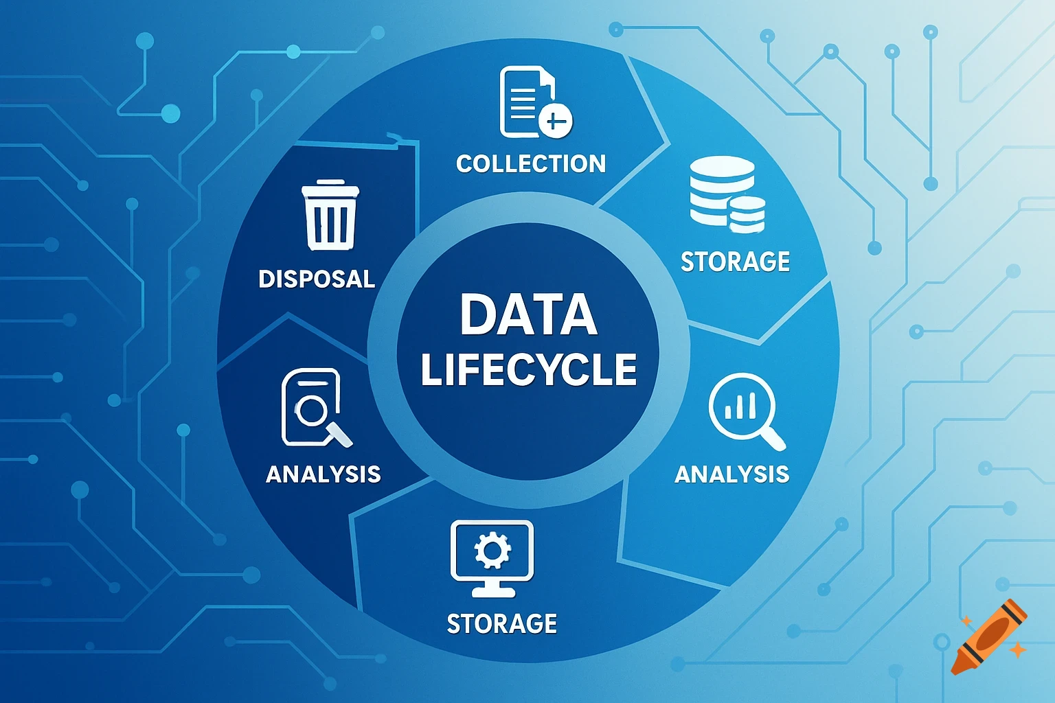 An infographic illustrating the data lifecycle with steps for collection, storage, analysis, and disposal.
