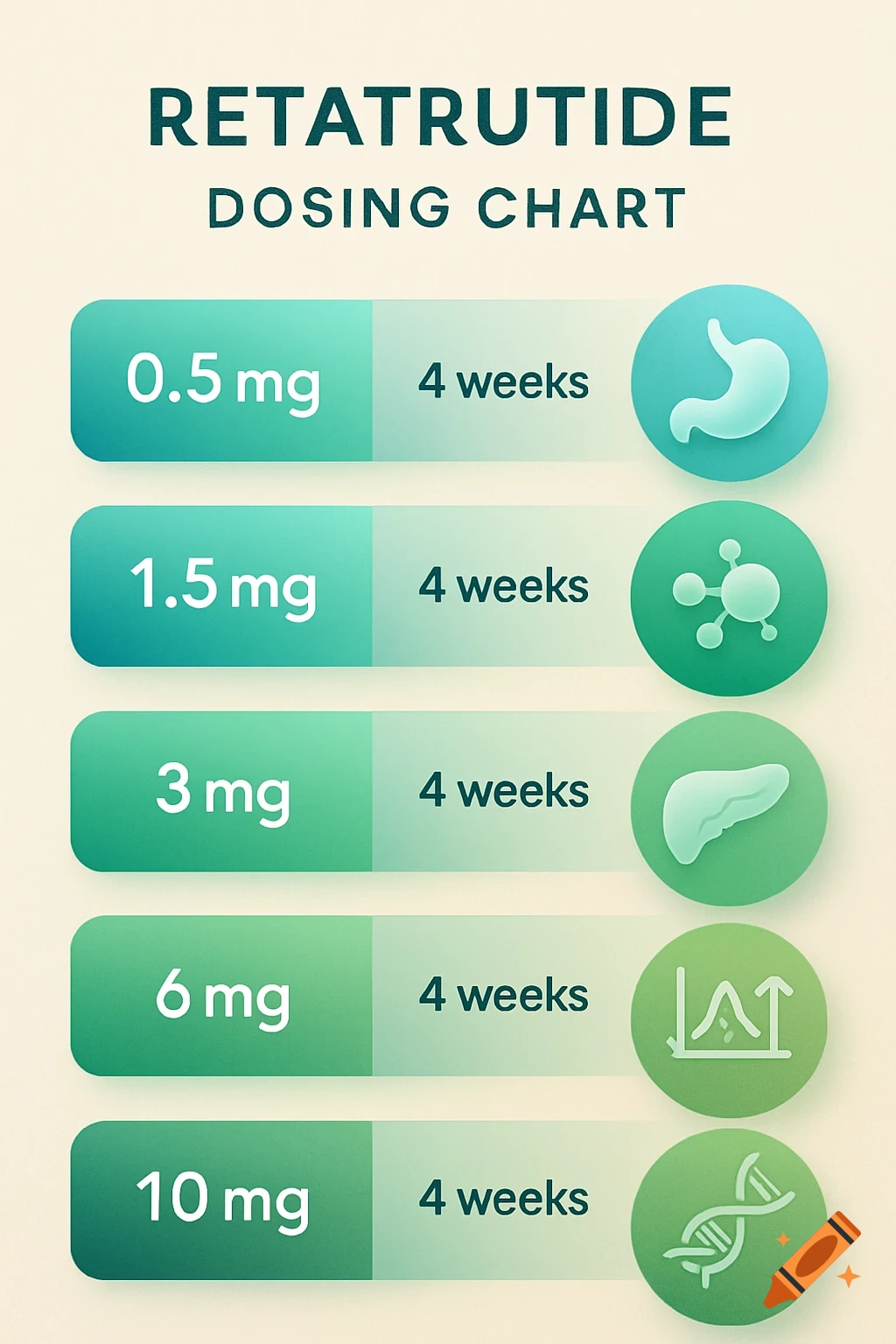 A Retatrutide dosing chart showing increasing dosages from 0.5 mg to 10 mg over 4 weeks, with medical icons representing body parts.