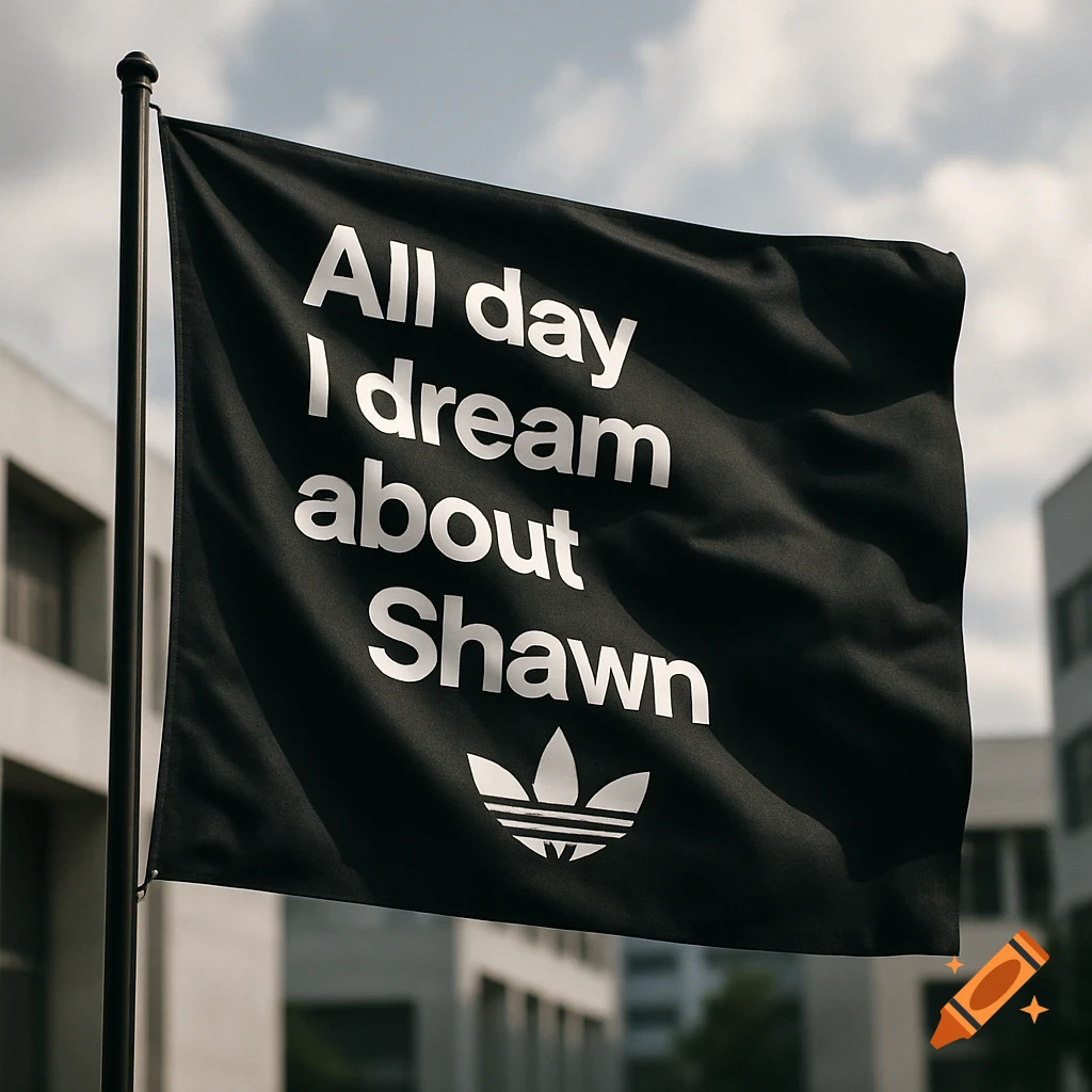 A black flag with white text 'All day I dream about Shawn' and an Adidas logo, against a background of buildings.