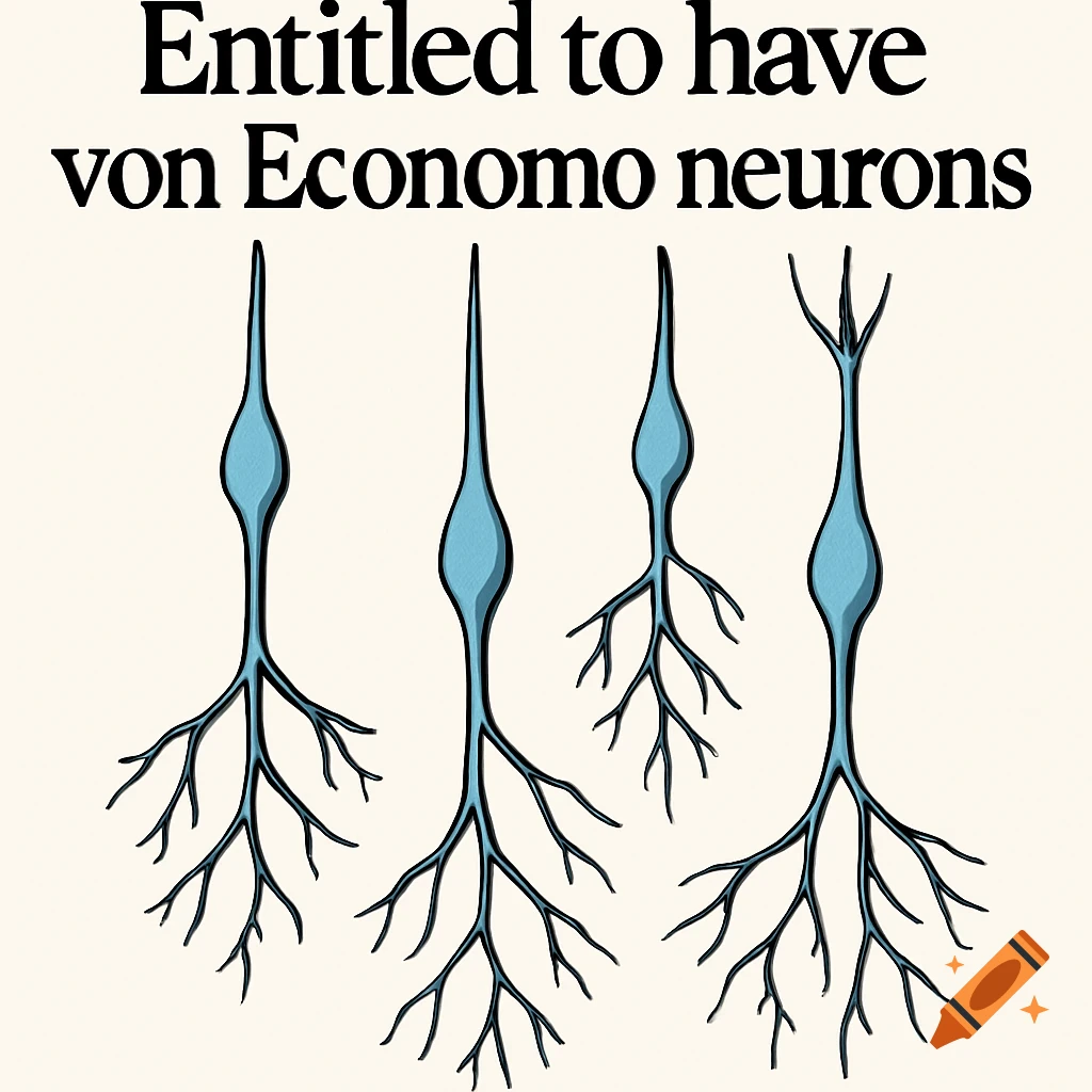 Four illustrated light blue von Economo neurons with black outlines and shadows, above which reads 'Entitled to have von Economo neurons'.