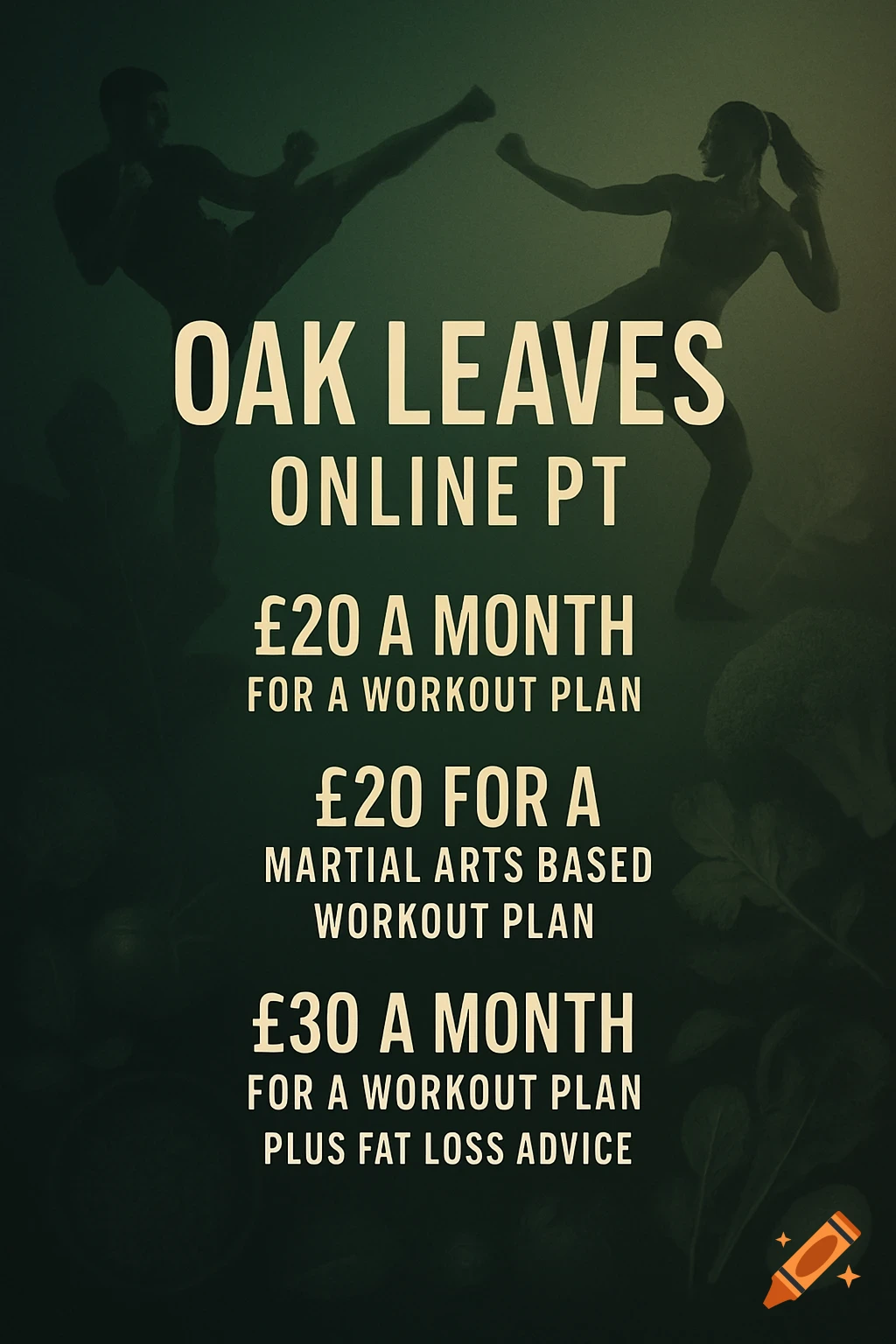A fitness poster for Oak Leaves Online PT with pricing for workout plans, featuring silhouettes of people doing martial arts kicks.