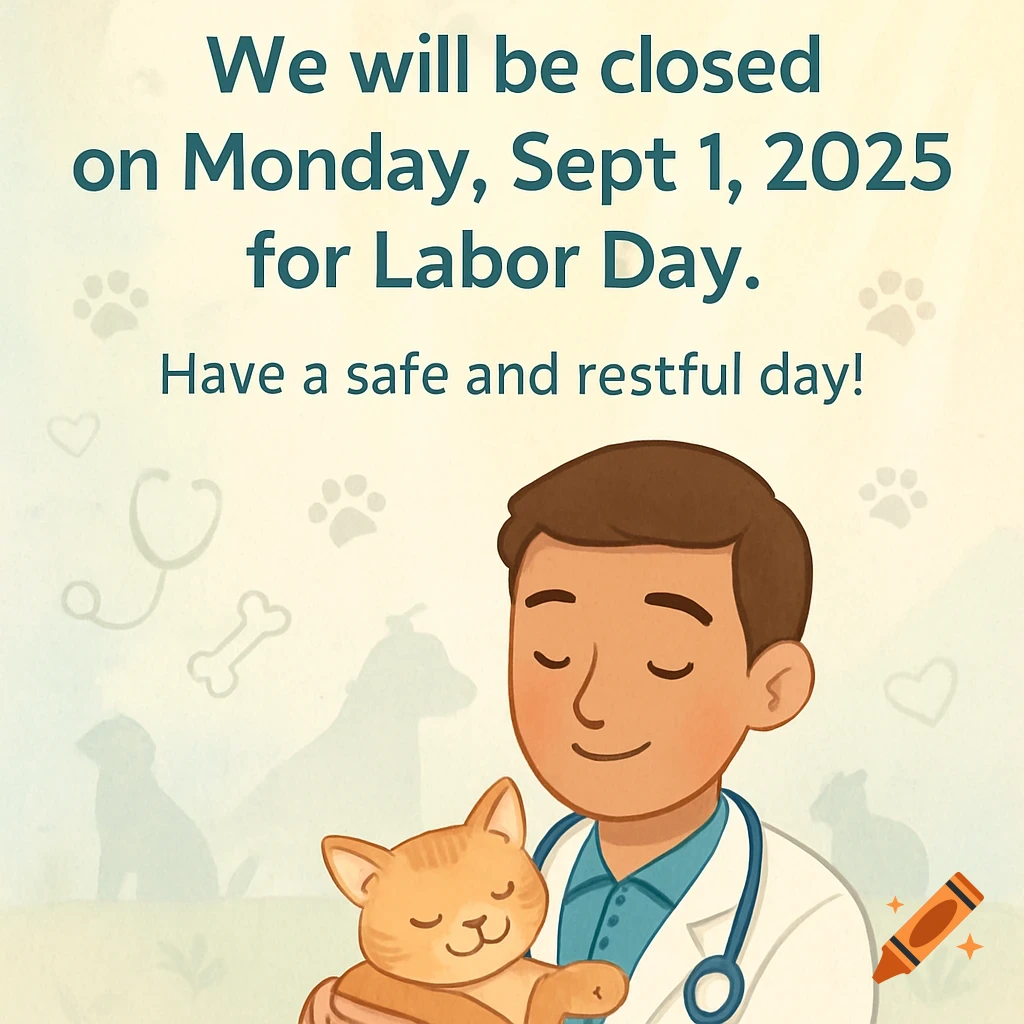 A friendly cartoon veterinarian holds an orange cat with a Labor Day closure notice on a light background with paw prints.