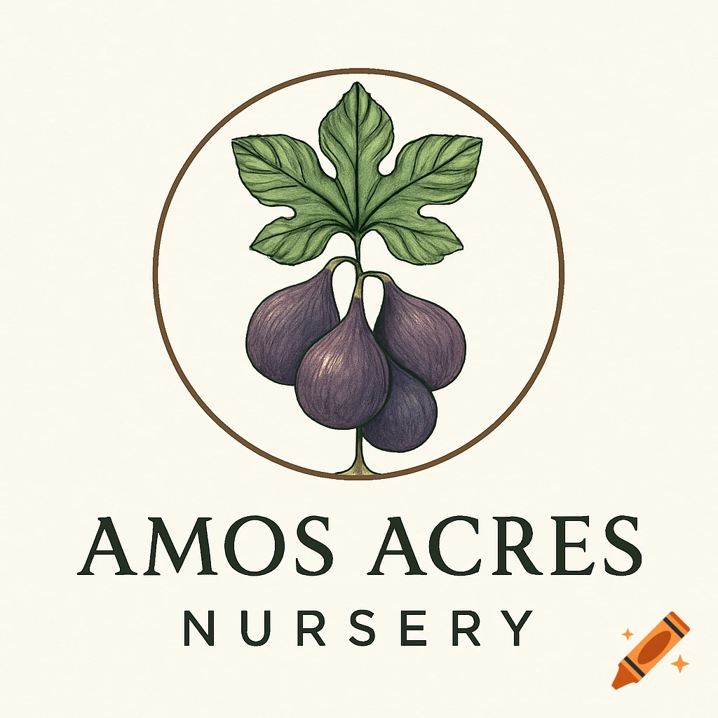 Logo for Amos Acres Nursery, featuring an illustration of a fig plant with green leaves and purple figs, encircled by a brown ring.