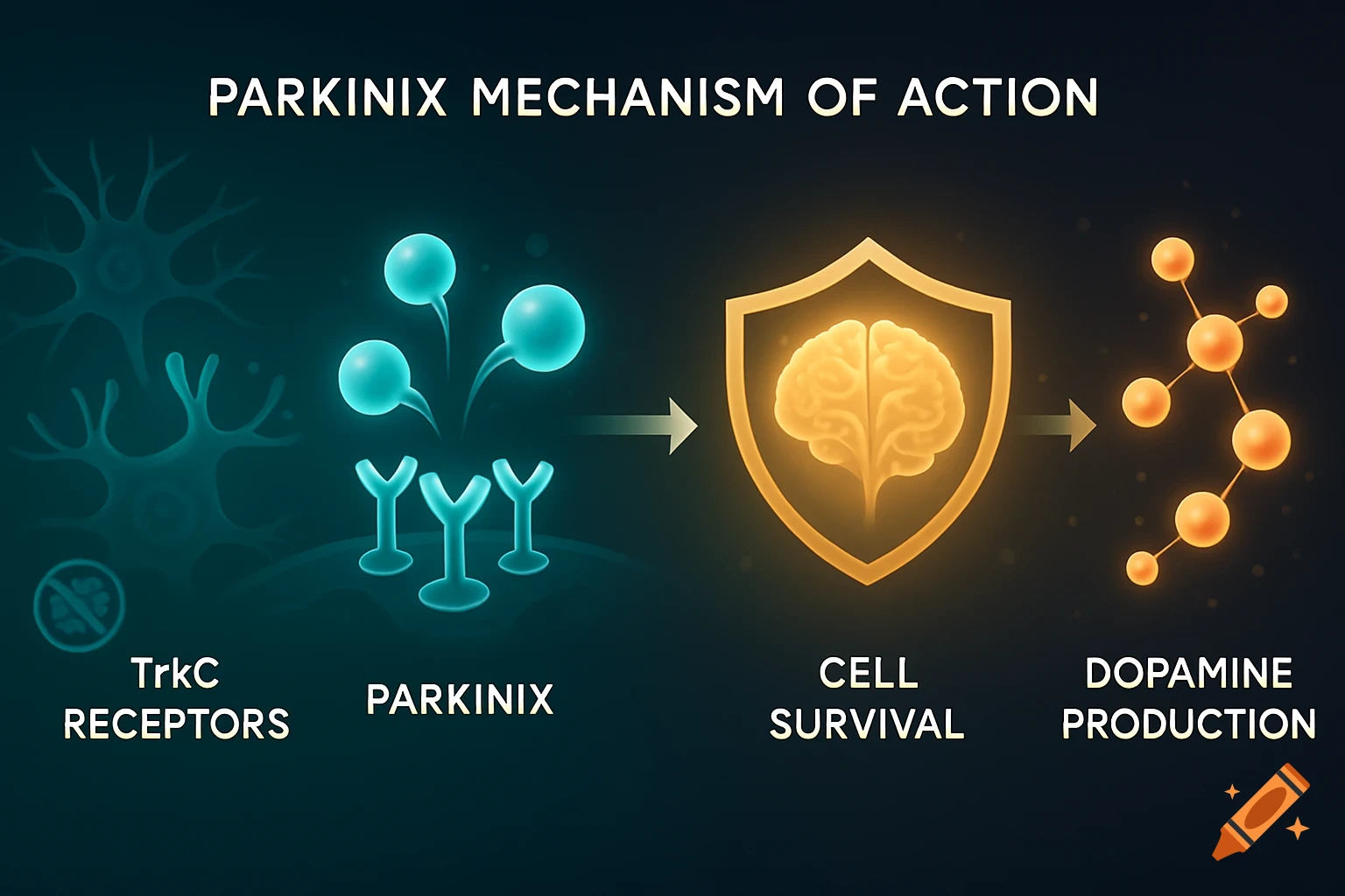 Scientific diagram showing Parkinix mechanism of action, from TrkC receptors to cell survival and dopamine production.
