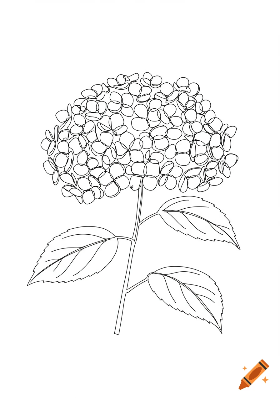 A simple black and white one-line drawing of a hydrangea flower with leaves on a white background.