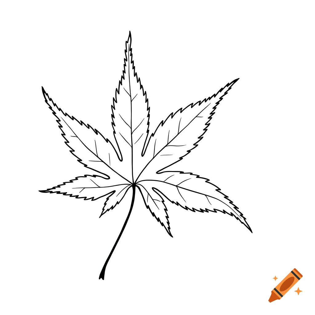 Black and white outline drawing of a maple leaf.