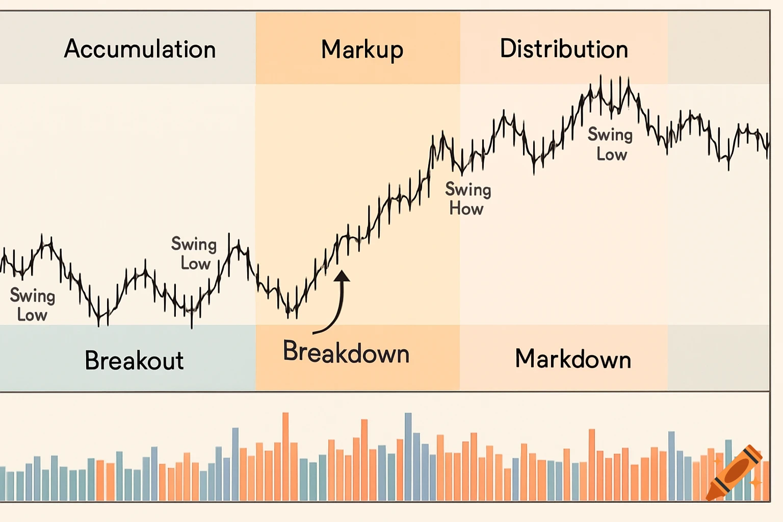 A market phases chart showing price action and volume bars across Accumulation, Markup, Distribution, and Markdown stages.