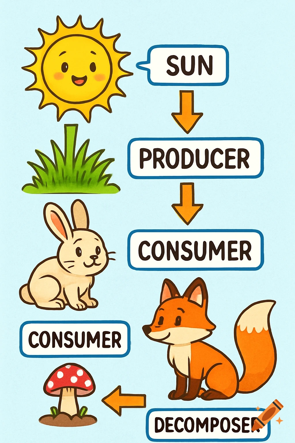 Cartoon food web diagram with sun, grass, rabbit, fox, and mushroom, labeled as producer, consumer, and decomposer.