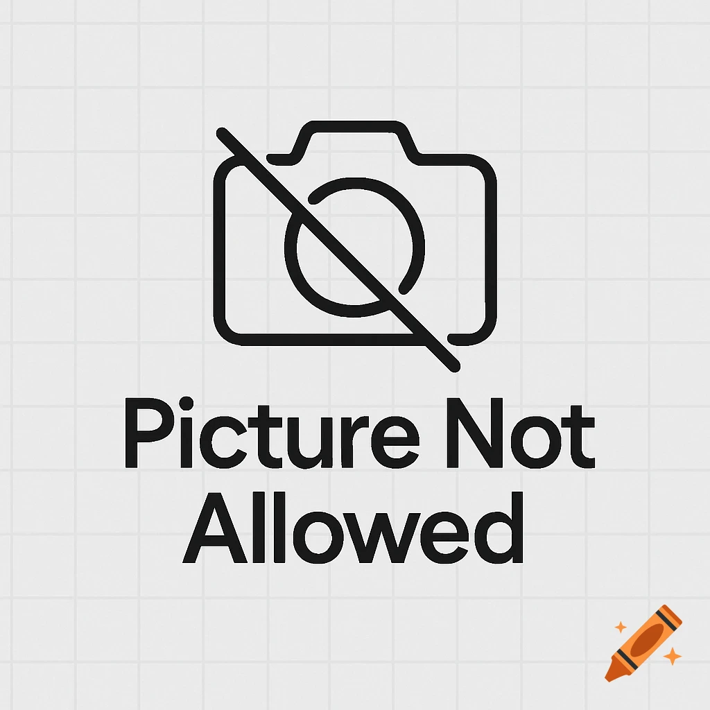 A simple black and white icon showing a camera with a strike-through line, above the text 'Picture Not Allowed', on a grid background.