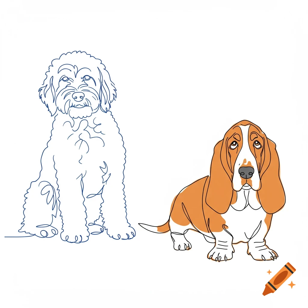 A blue line drawing of a sitting Goldendoodle next to an orange line drawing of a Basset Hound.