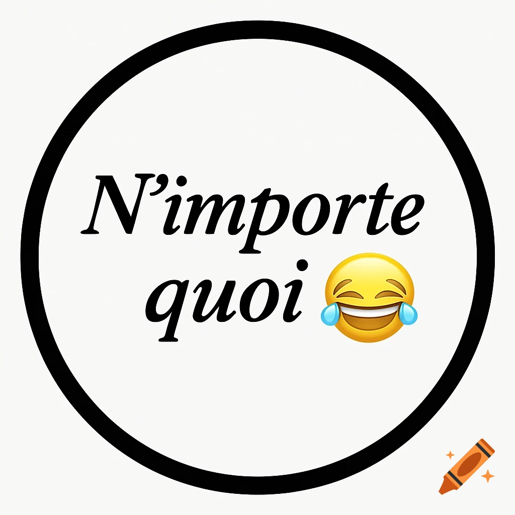 Black italicized French text 'N'importe quoi' with a laughing emoji, set against a white background inside a black circle.