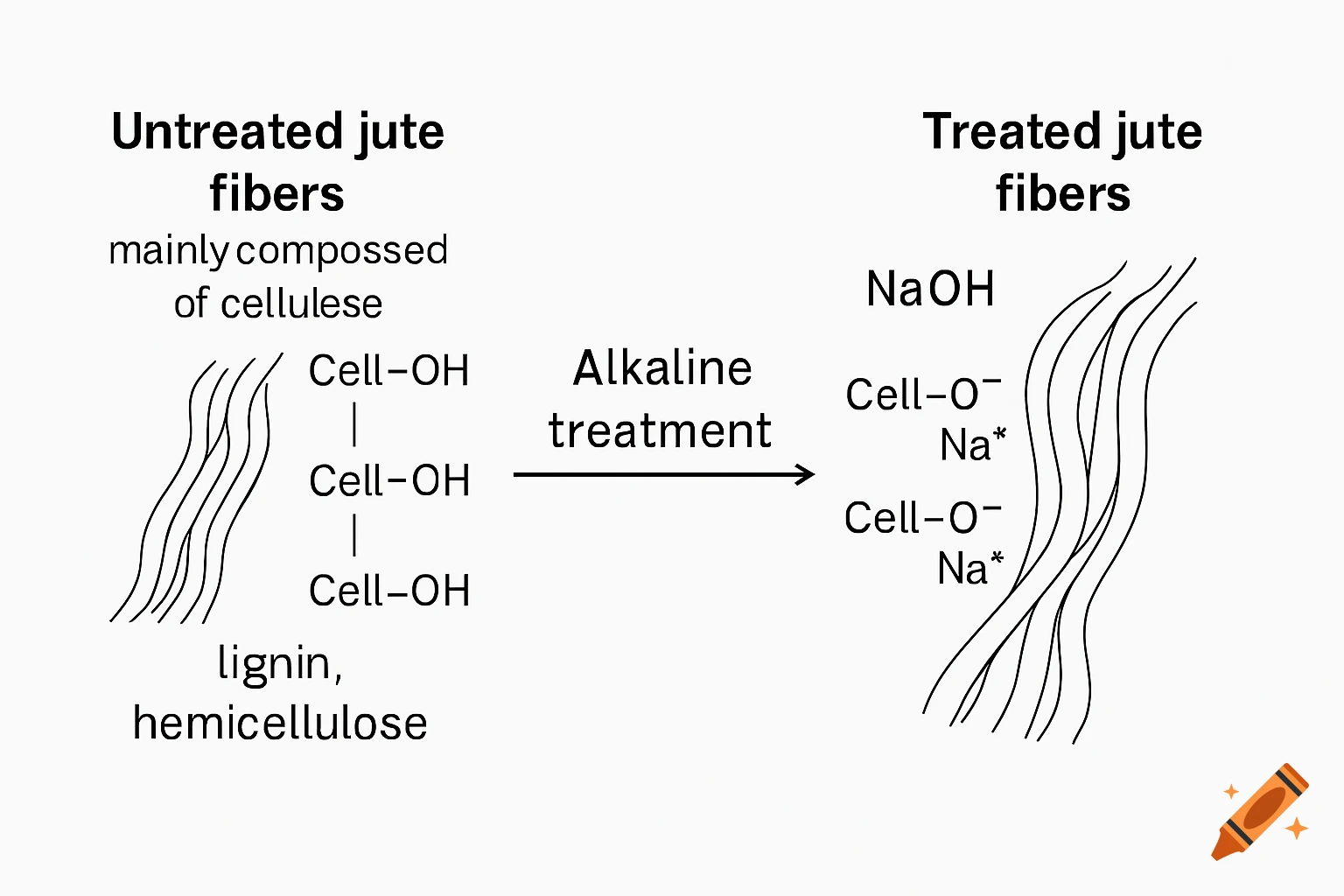 A schematic diagram showing the alkaline treatment of jute fibers. Untreated fibers, mainly composed of cellulose, lignin, and hemicellulose, with Cell-OH groups, are treated with NaOH to become treated fibers with Cell-O Na groups.