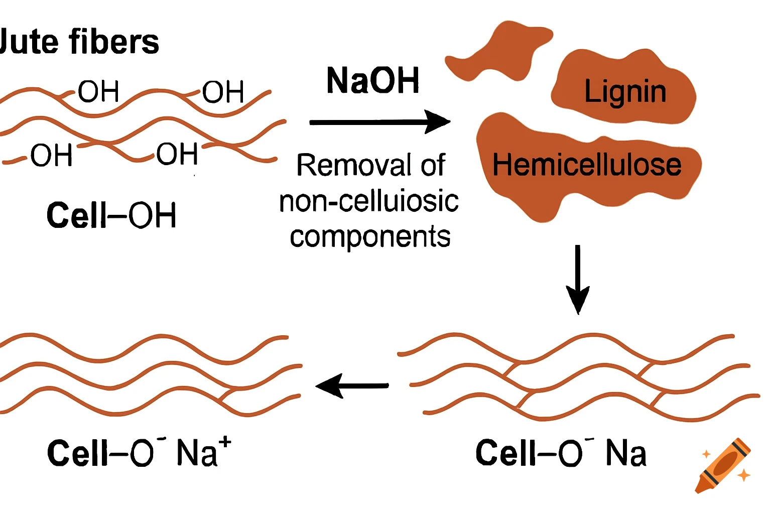 A schematic diagram illustrating the alkaline treatment of jute fibers, showing the removal of lignin and hemicellulose, and the chemical transformation from Cell-OH to Cell-O-Na+ with NaOH.