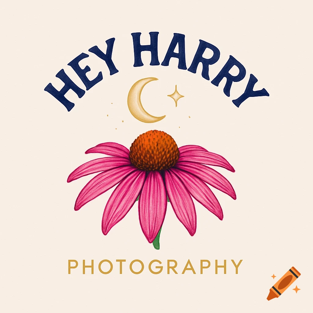 Whimsical logo for Hey Harry Photography featuring a pink echinacea flower, a golden crescent moon, and a star on a light background.