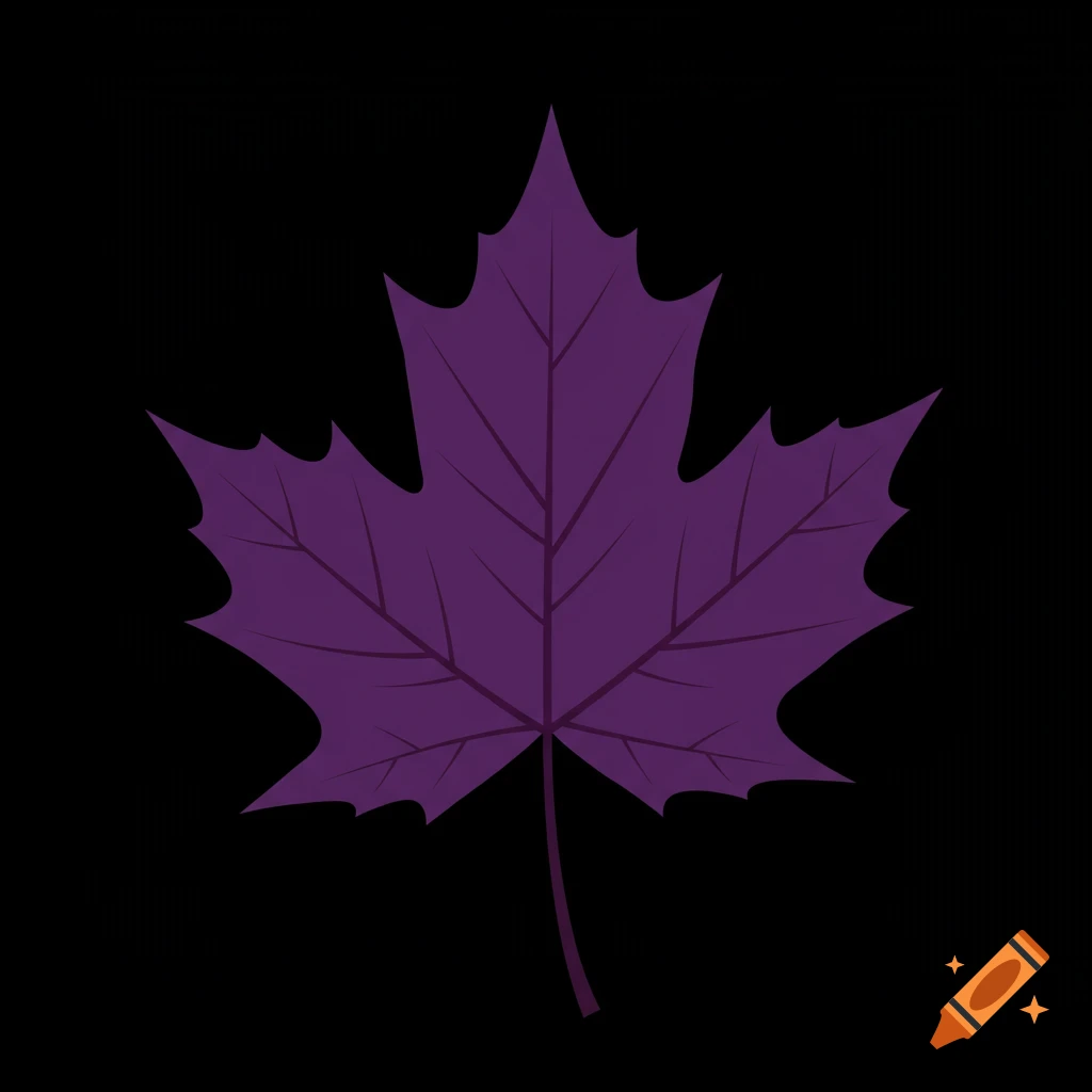 A stylized purple silver maple leaf against a black background.