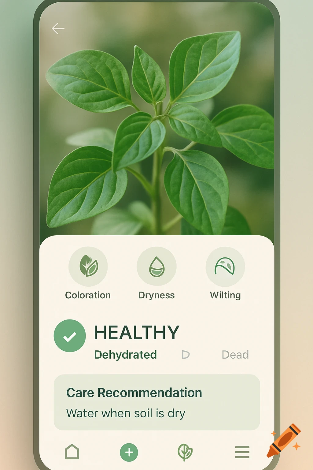 A screenshot of a mobile app interface showing a healthy green plant. The app identifies the plant as 'HEALTHY' and recommends 'Water when soil is dry'.