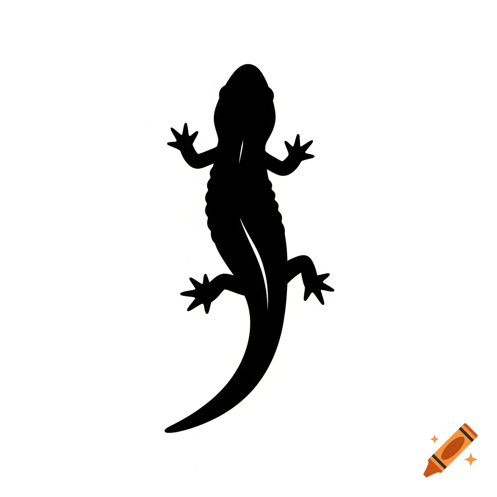 A black silhouette of a salamander with splayed toes and a long, curved tail on a white background, viewed from above.