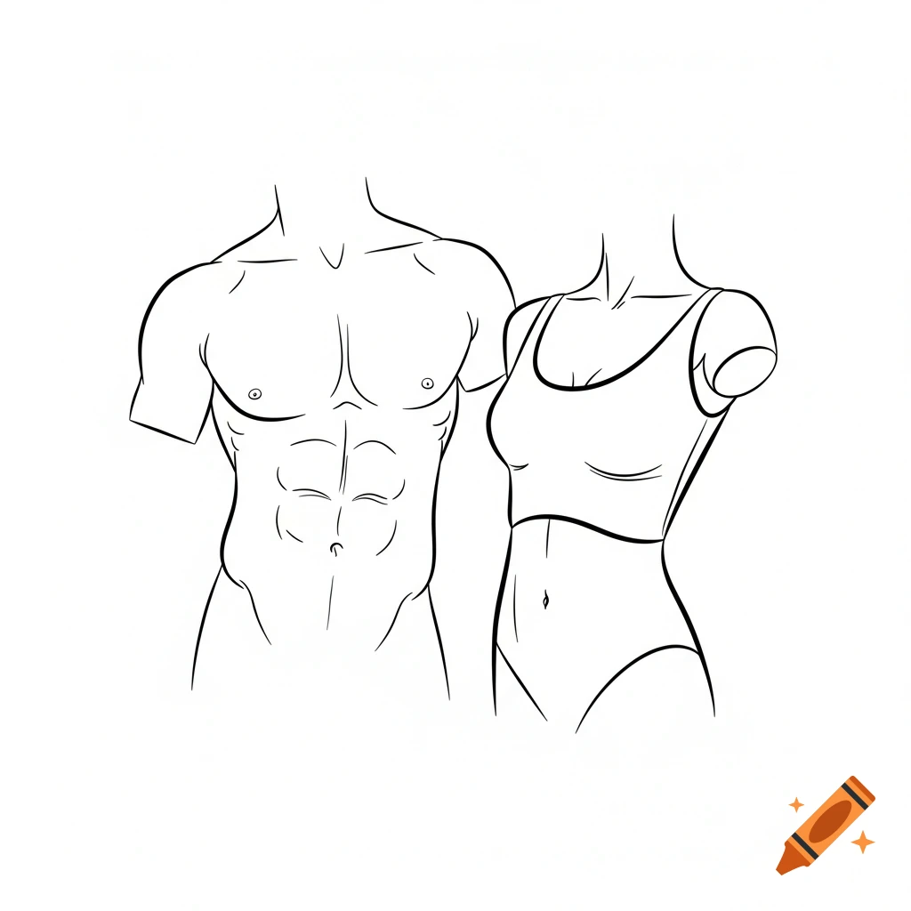 Line art drawing of a man's muscular torso next to a woman's torso wearing a sports bra and underwear.