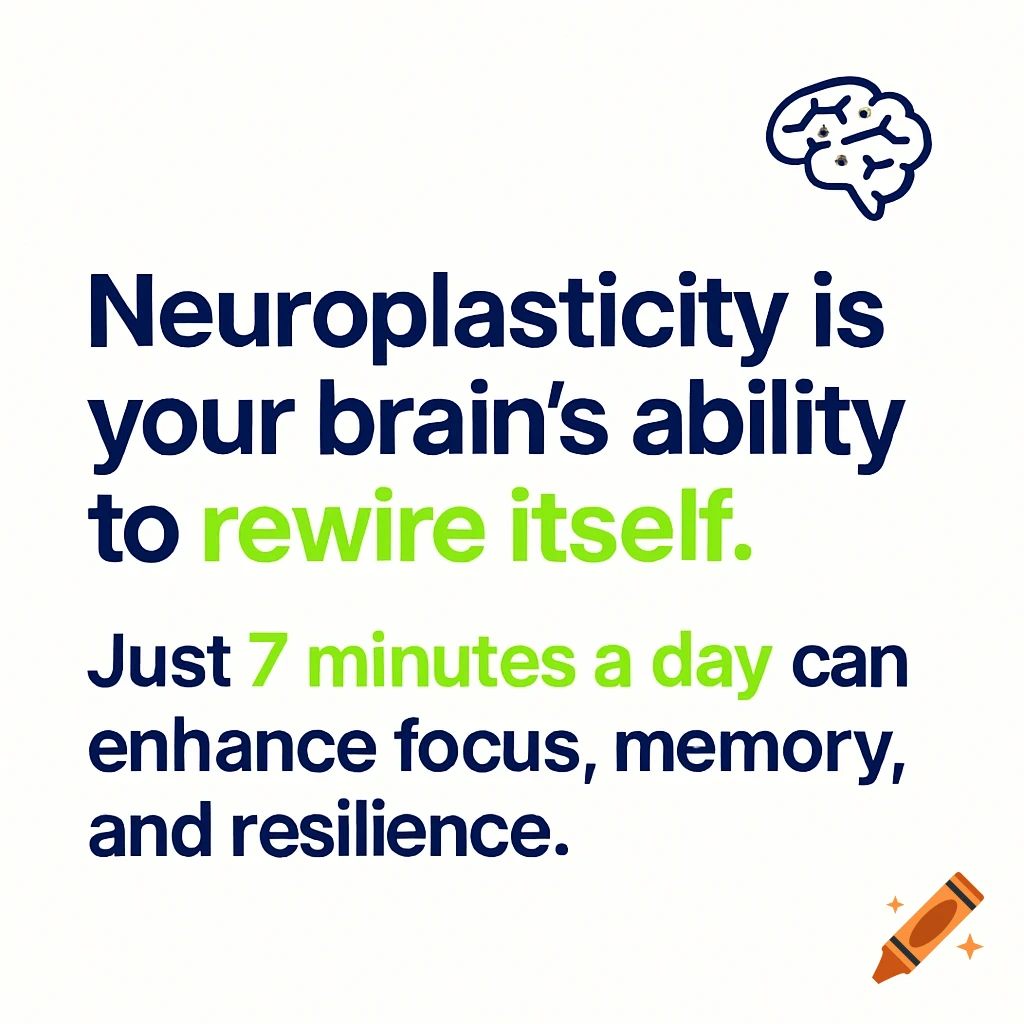 White infographic slide with a brain icon and text about neuroplasticity in dark blue and neon green.