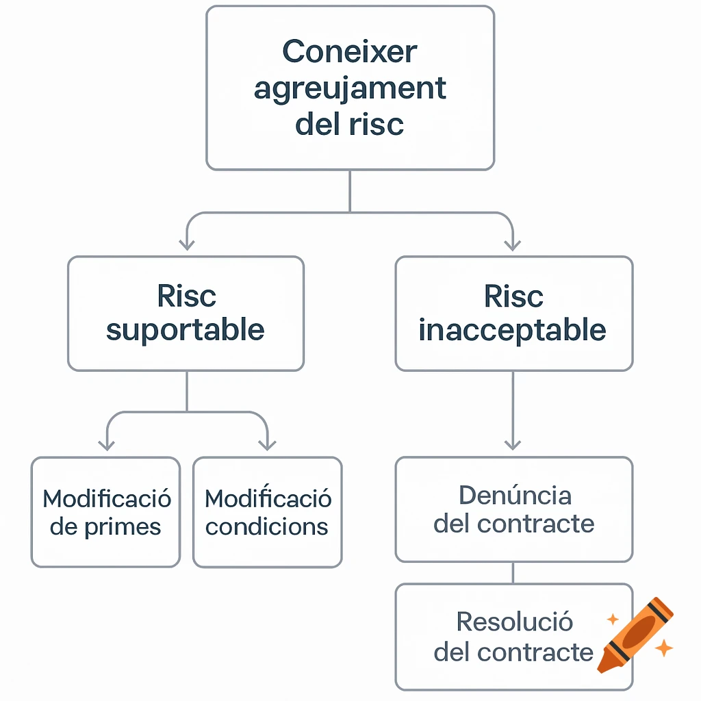 A clear and professional flowchart in Catalan titled 'Coneixer agreujament del risc' with branches for 'Risc suportable' and 'Risc inacceptable'.