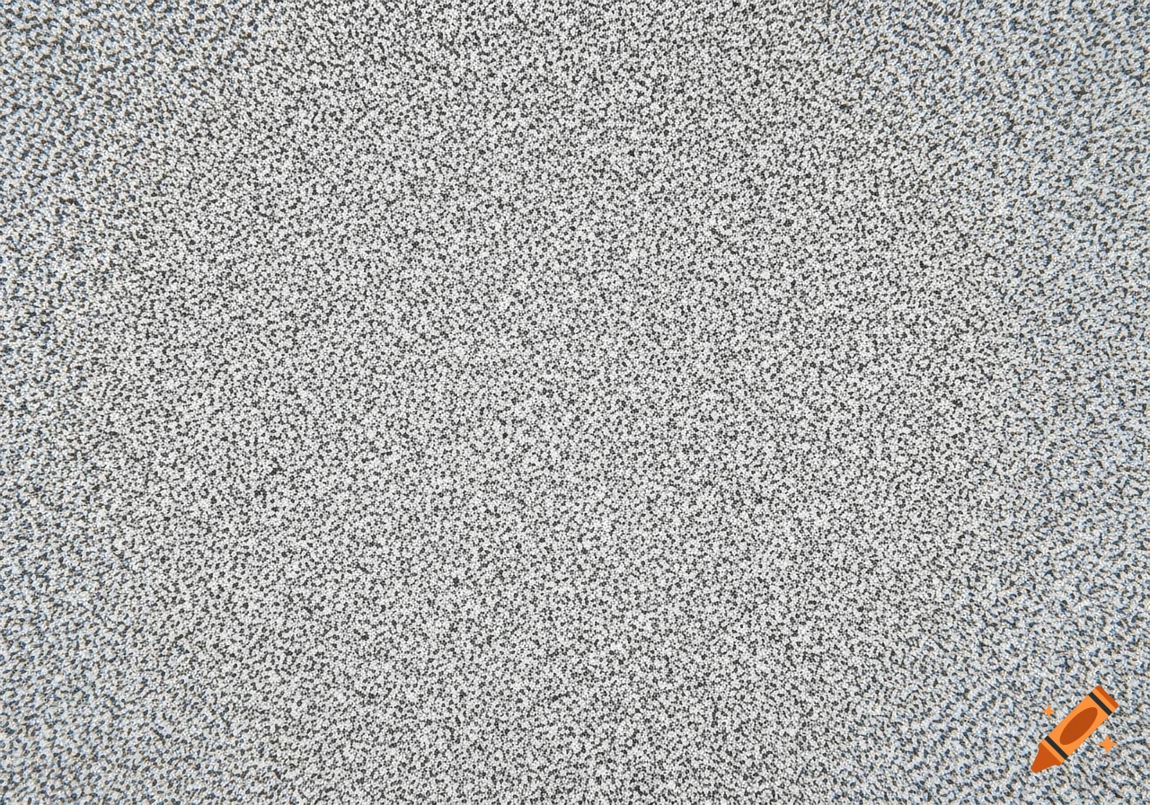 A close-up, highly detailed photographic rendition of white noise, featuring a dense, fine-grained pattern of black and white pixels.