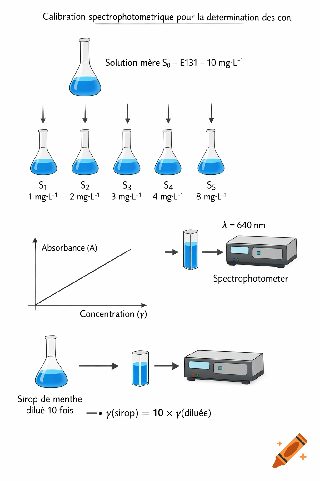 A clear, school-style diagram illustrating spectrophotometric calibration, showing dilutions, a graph of absorbance vs. concentration, and a spectrophotometer.