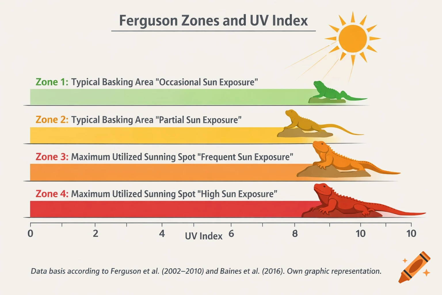 An infographic titled "Ferguson Zones and UV Index," showing four colored bars (green to red) representing different basking zones for lizards, corresponding to UV Index levels from 0 to 10. Each zone has a lizard illustration.