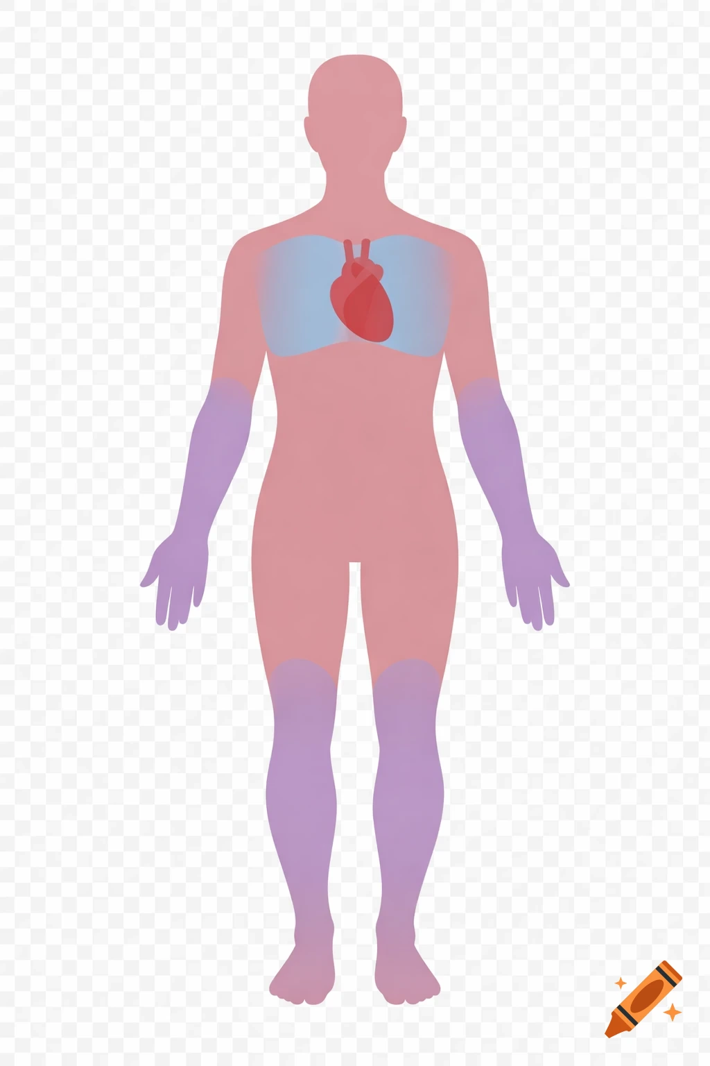 A stylized, gender-neutral human body silhouette in pink with a light blue chest, a red heart, and purple limbs, on a transparent background.