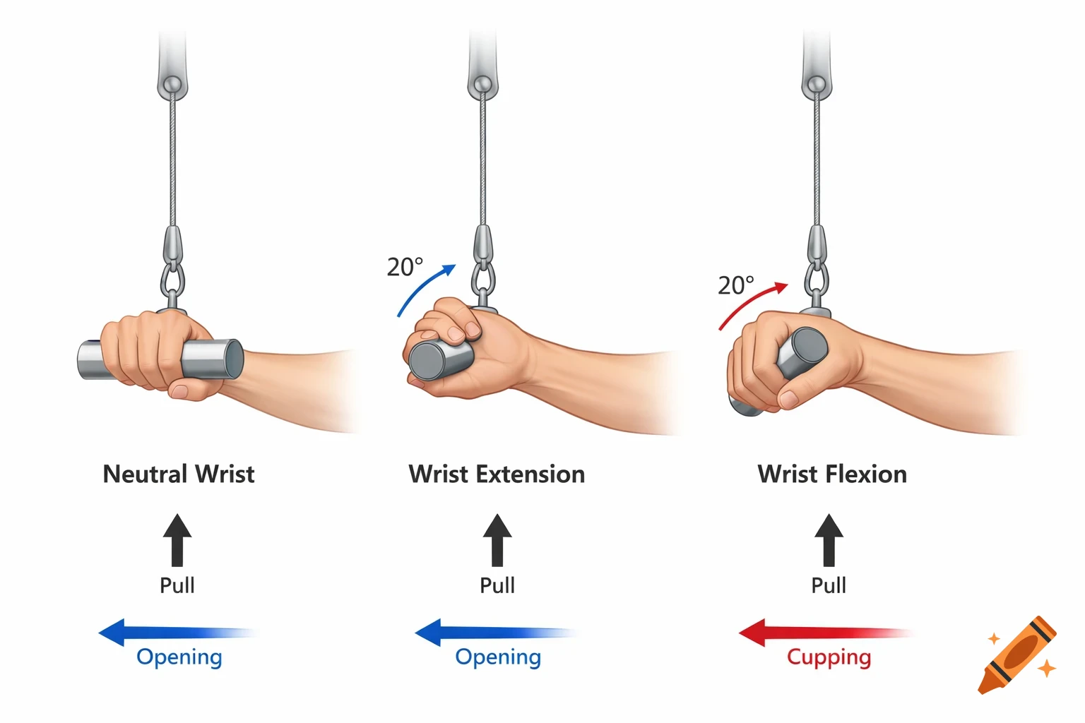Educational diagram illustrating three wrist positions (neutral, extension, flexion) holding a pulley cable handle, with arrows.