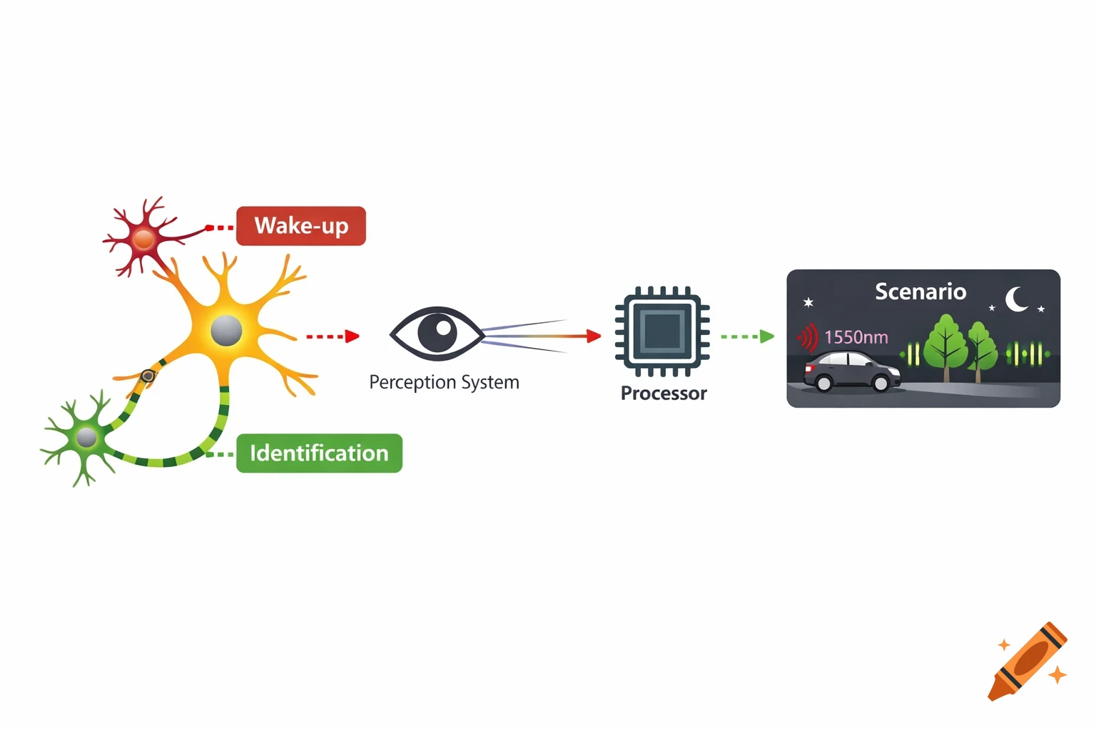 Scientific infographic diagram: Neurons, perception system, processor, and a car scenario with 1550nm waves, in minimalist vector style.