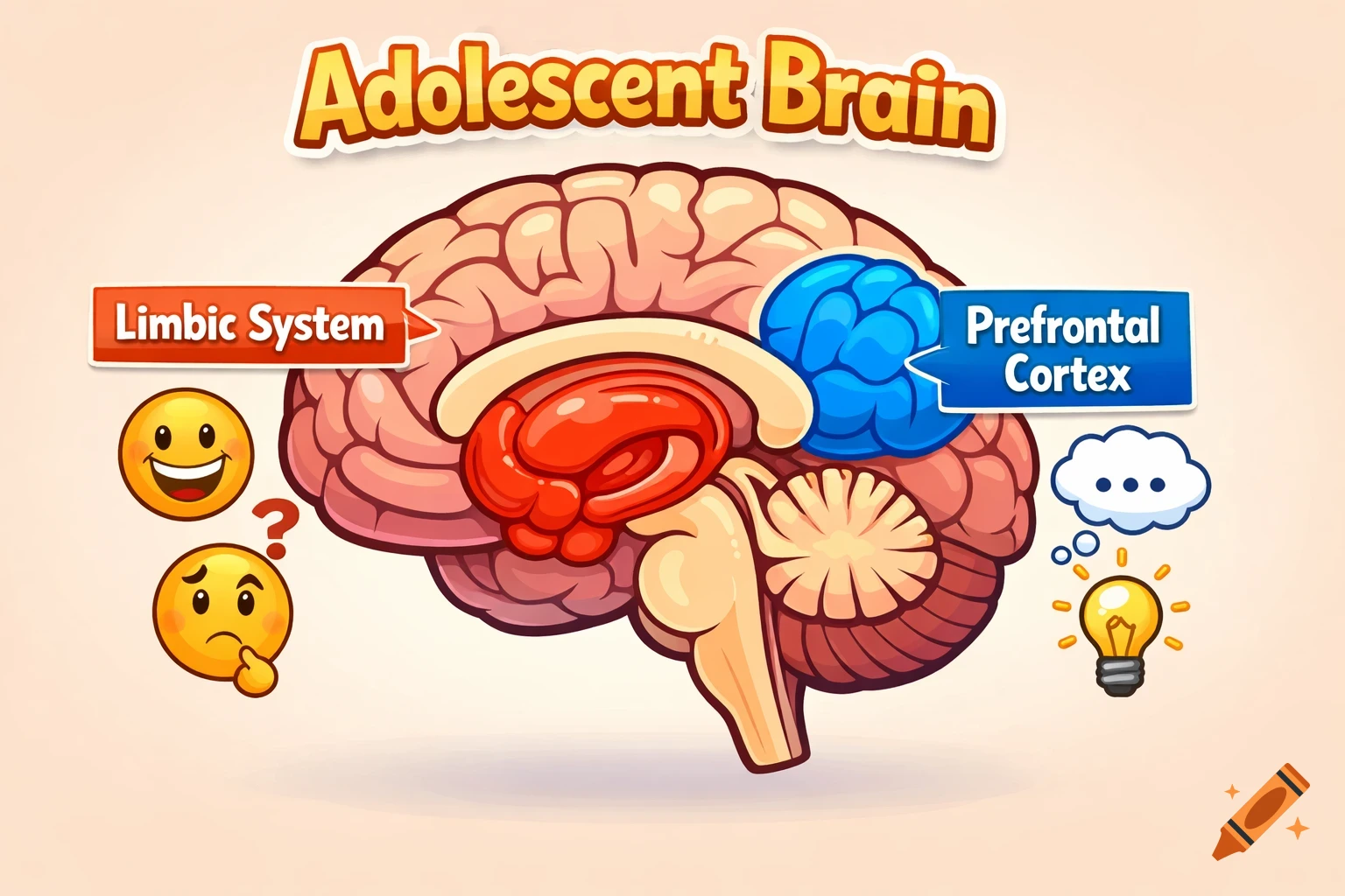 A colorful cartoon diagram of an adolescent brain, highlighting the Limbic System and Prefrontal Cortex, with emojis and an idea bulb.