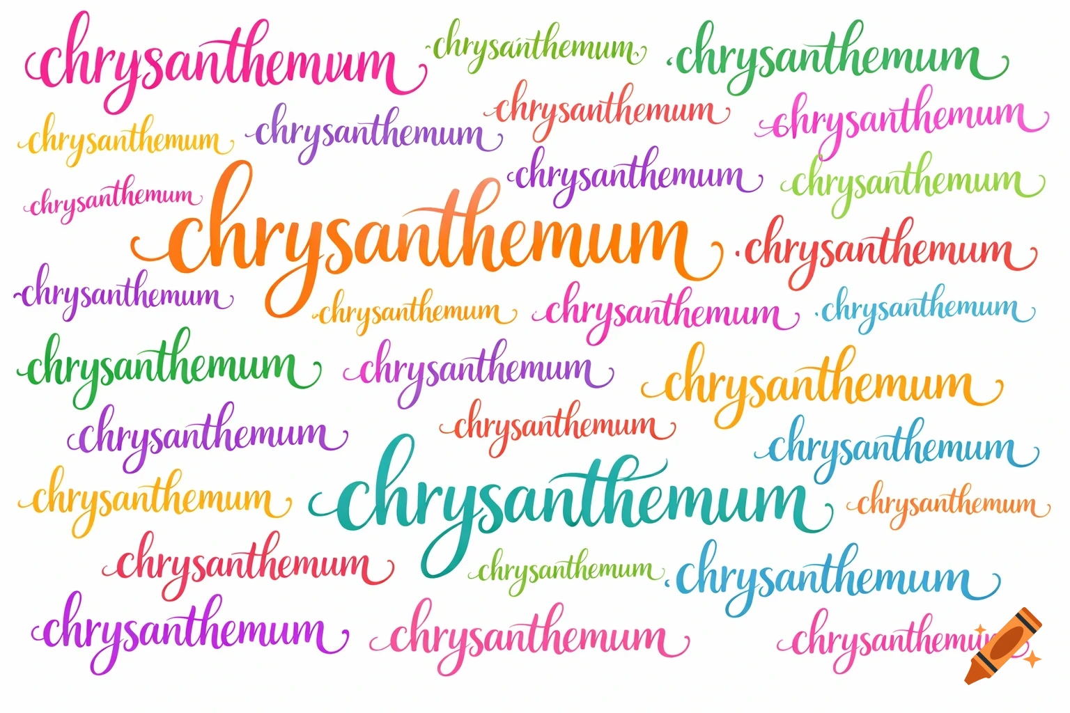The word chrysanthemum repeated many times in a colorful script font on a white background.